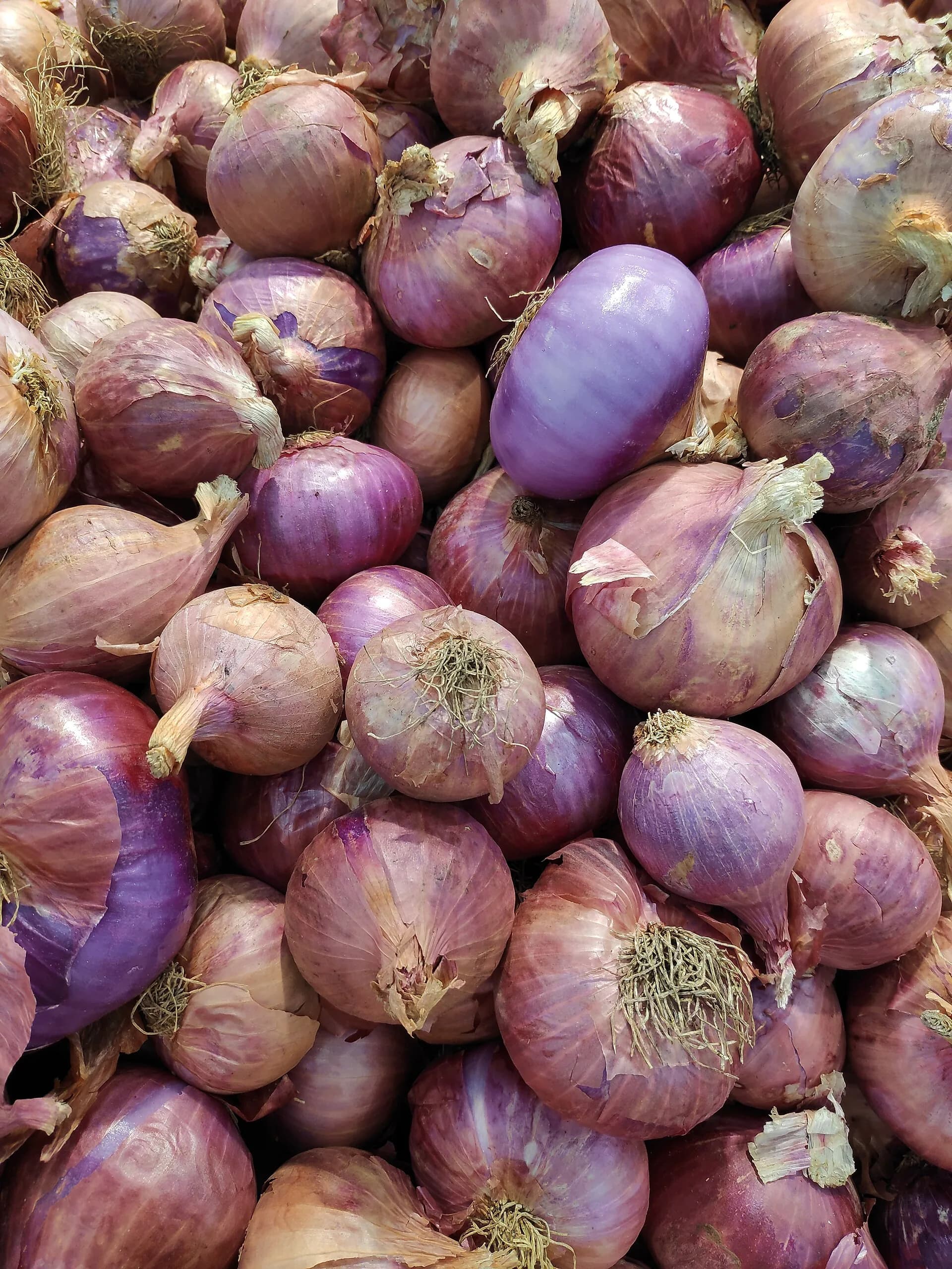 A heap of whole red onions with papery purple-red skins
